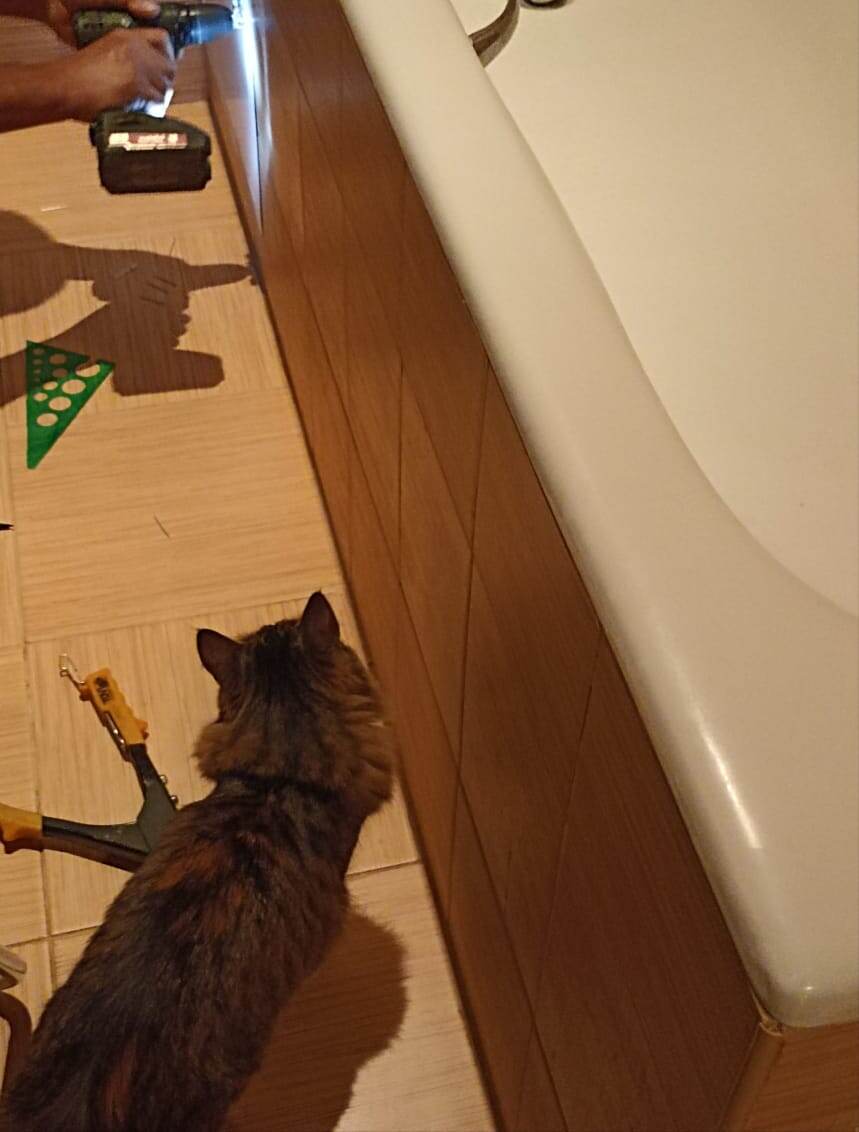 У Таси всё под контролем)) 