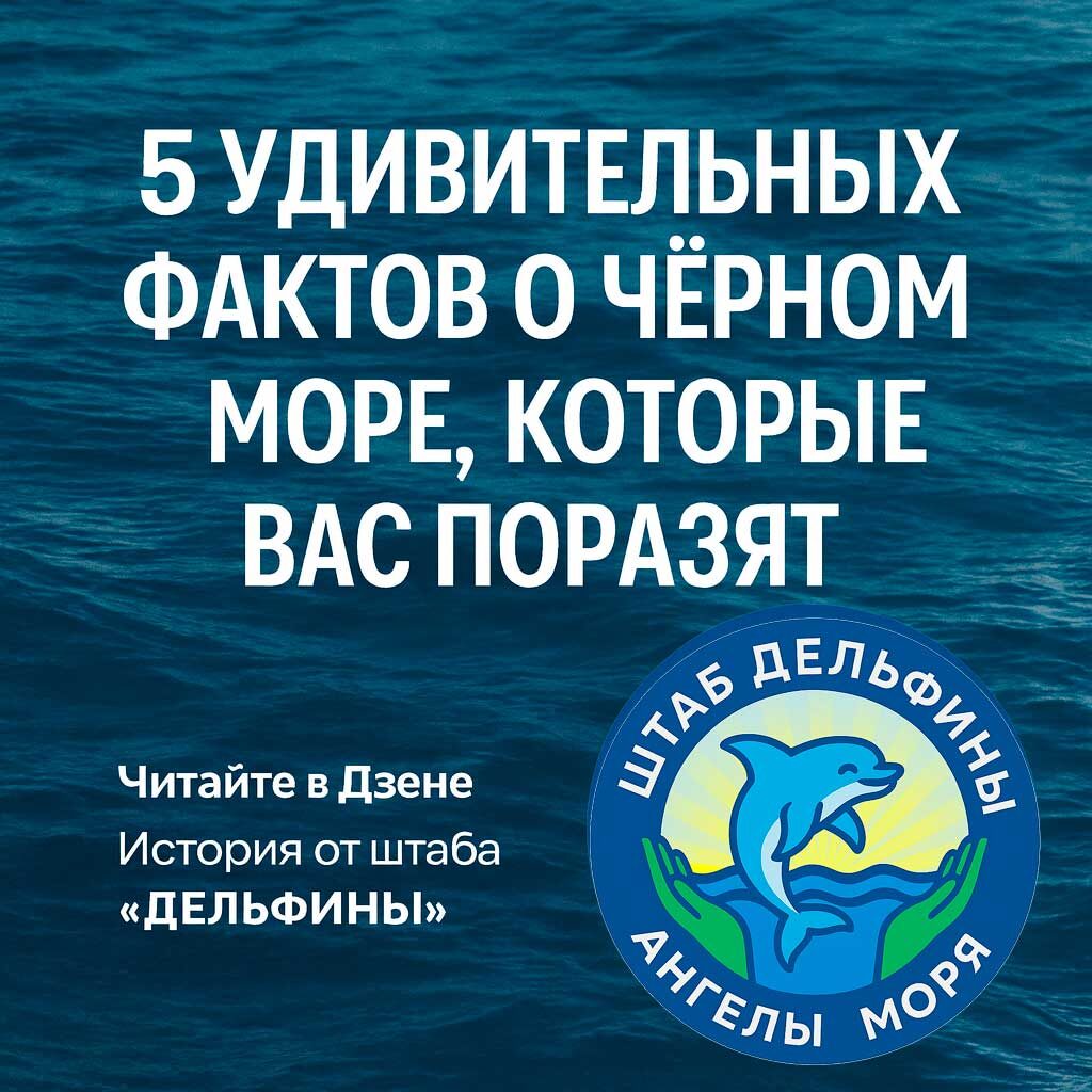 5 удивительных фактов о Чёрном море, которые вас поразят