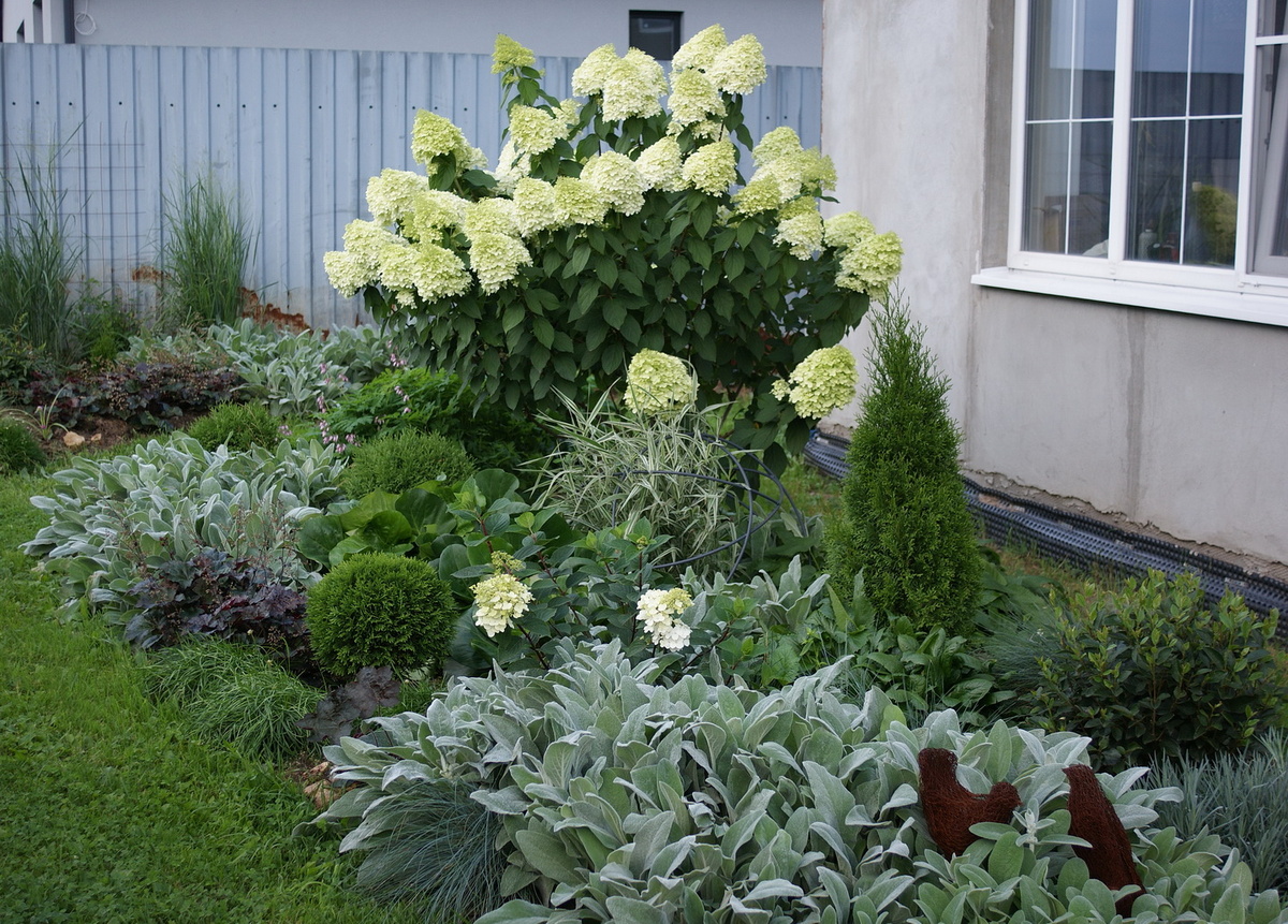 Цветник перед мастерской. 