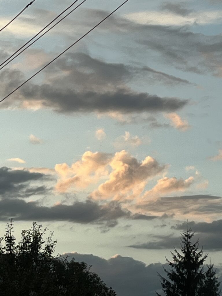 Это реальное фото, без фотошопа