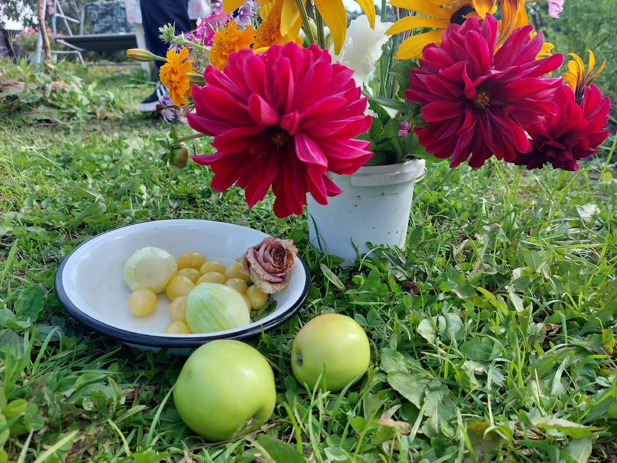 Фото автора