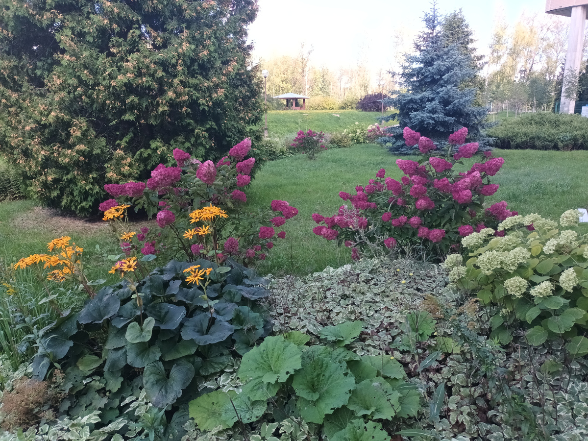 Без связи с книгами)