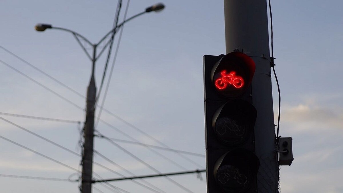    Фото: телеканал «Краснодар»