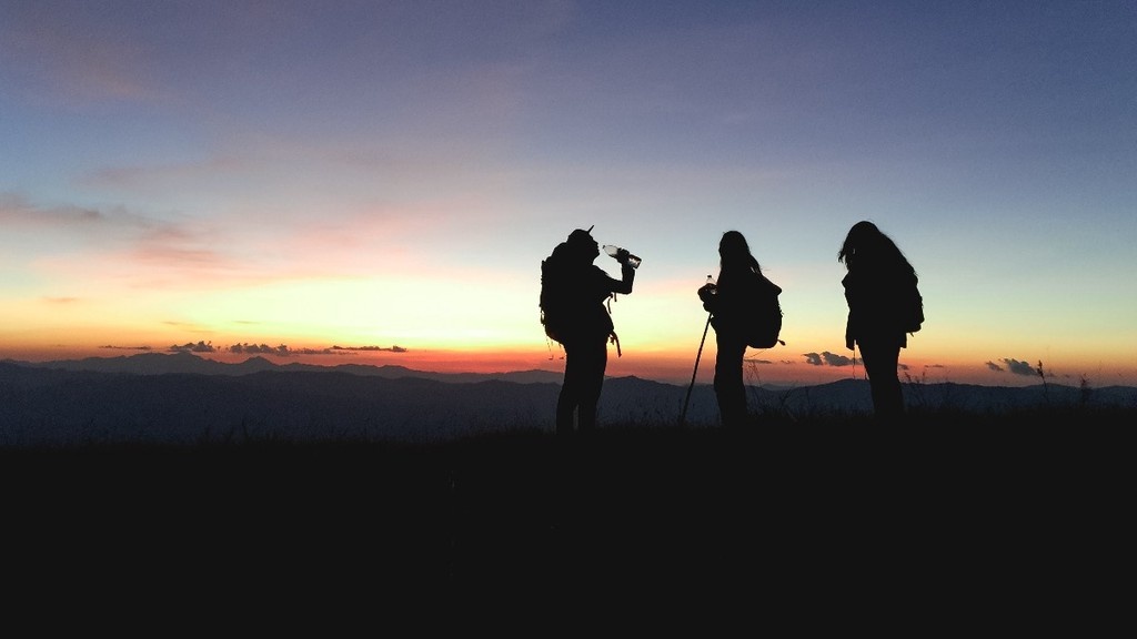    Фото © Pexels.com