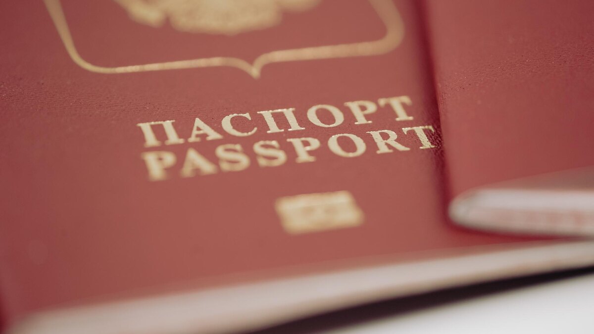 Фото: ИЗВЕСТИЯ/Телеканал «78»