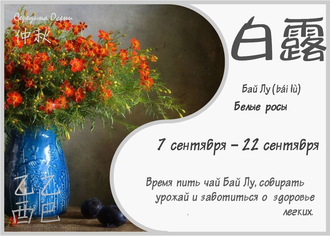 24 сезона. Бай Лу.