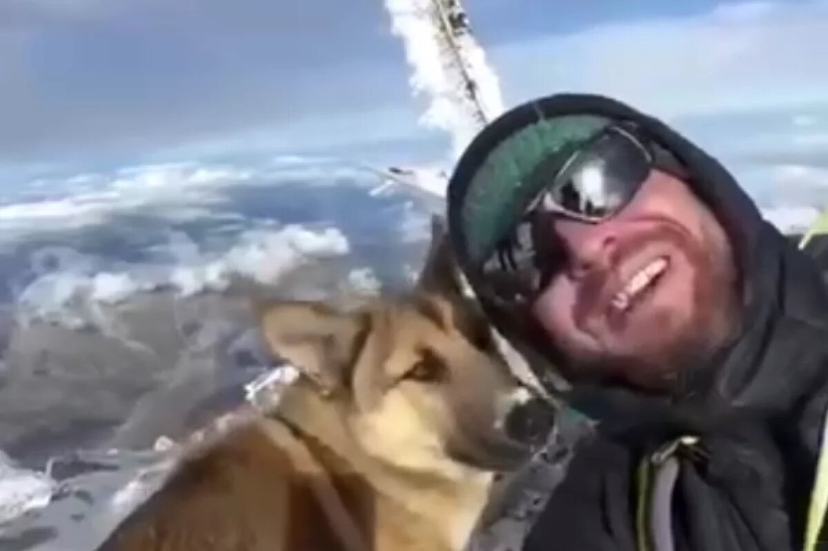   Бездомный пёс прибился к альпинистам и вместе с ними покорил Эльбрус