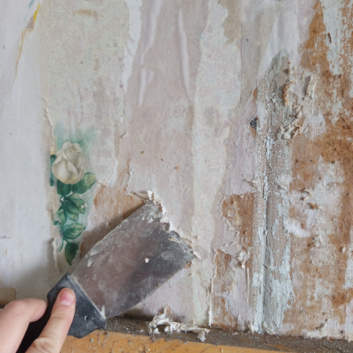 Фото автора.