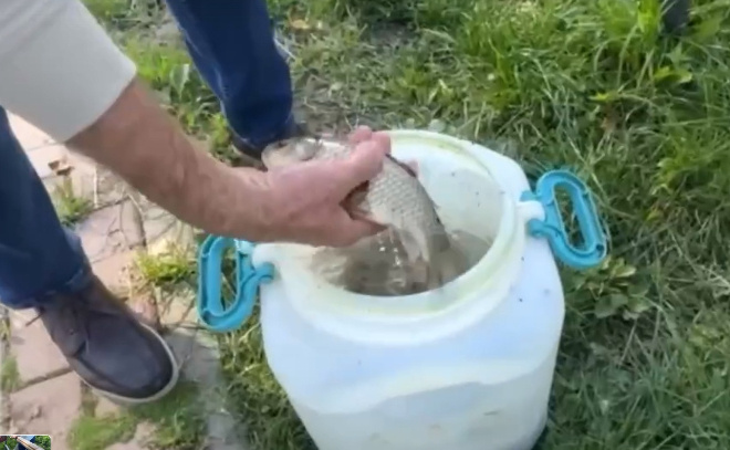    © скриншот видео администрации Куйвозовского сельского поселения