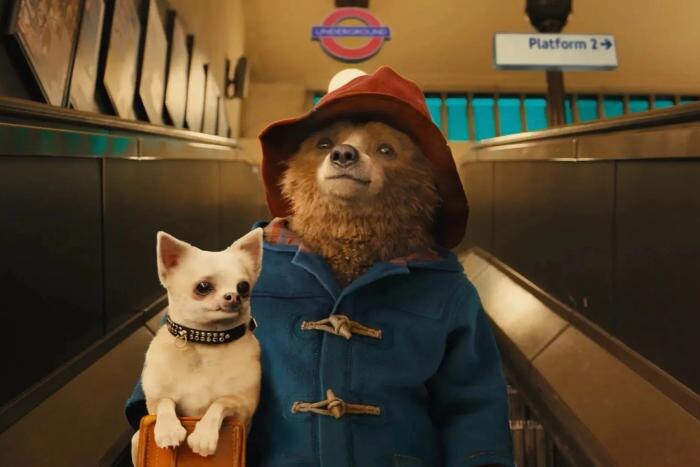 Что посмотреть сегодня с детьми и близкими: лучшие идеи. Фото © «Приключения Паддингтона», режиссёр Пол Кинг, сценаристы Майкл Бонд, Пол Кинг, Хэмиш Макколл / Kinopoiskatomic:embed 0
