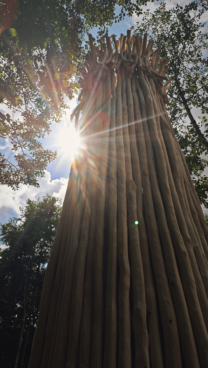 Колонна бани-форума