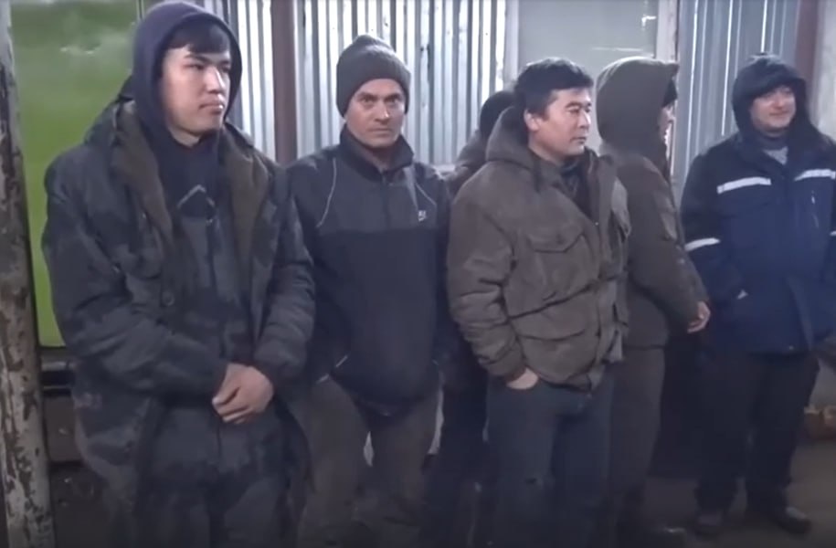 Фото: Prt Scr rutube.ru / МВД МЕДИА