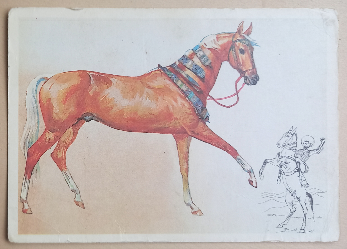 1. Ахалтекинская порода. Художник А. Глухарёв.