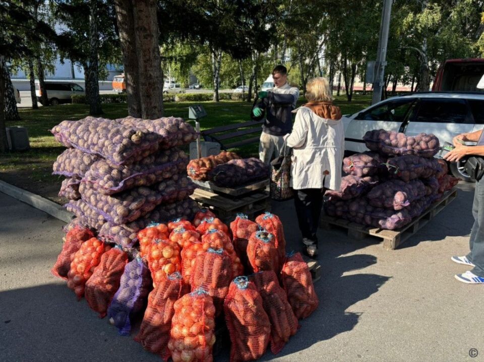    Ярмарка в Барнауле, 6 сентября. Источник: barnaul.org