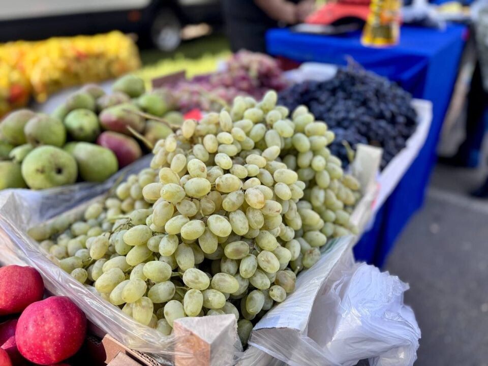    Ярмарка в Барнауле, 6 сентября. Источник: barnaul.org