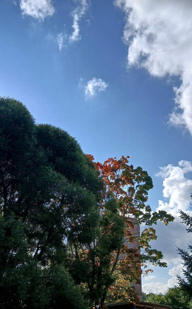 фото автора сегодня