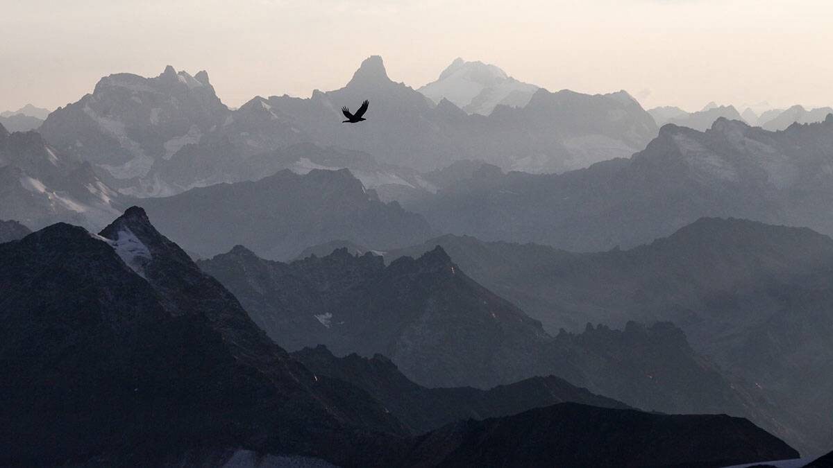    Фото: Сергей Ведяшкин / АГН Москва