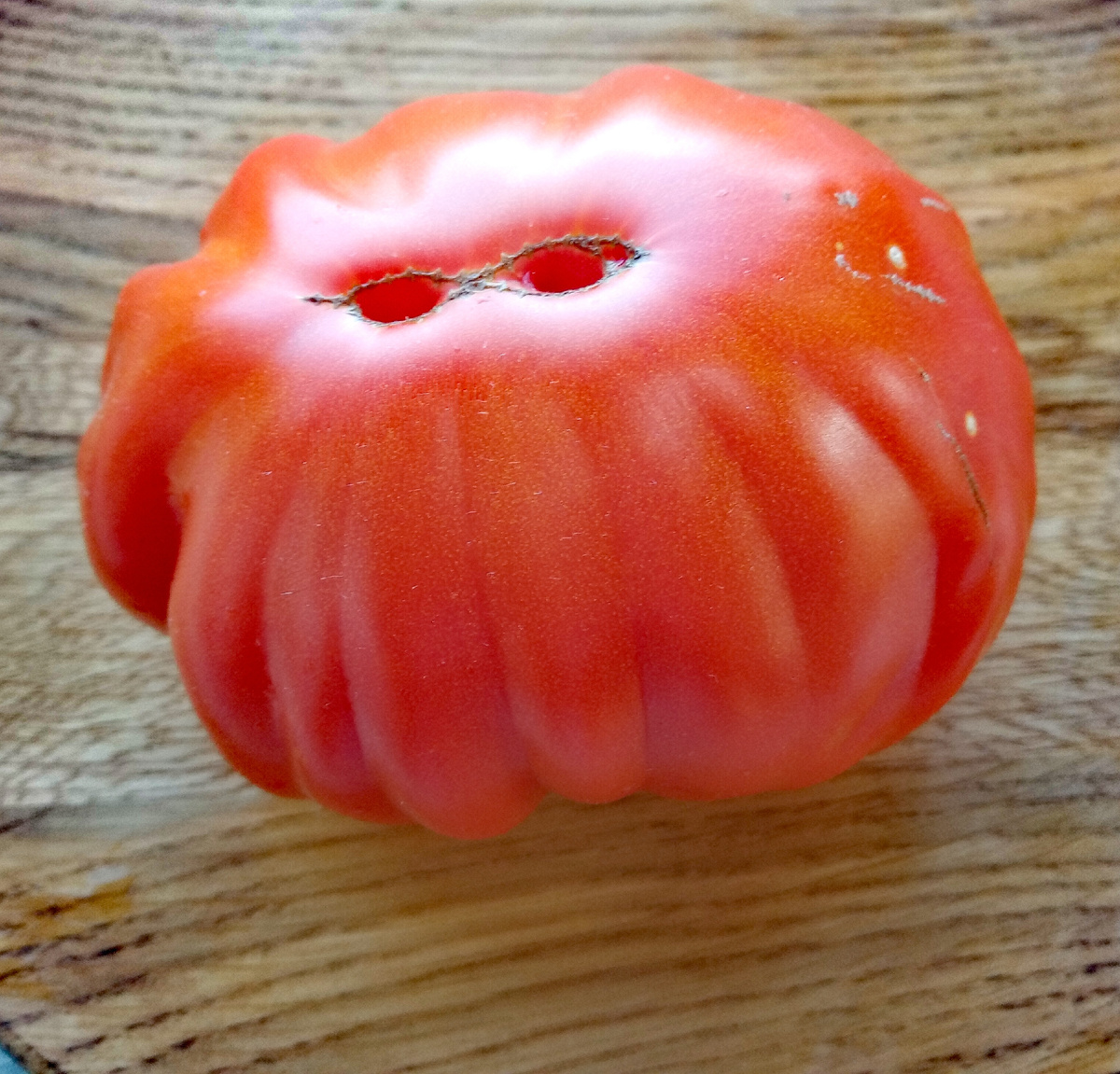 Фото автора от 22.08.2025г. Внешний вид плода томата Шарпей розовый.