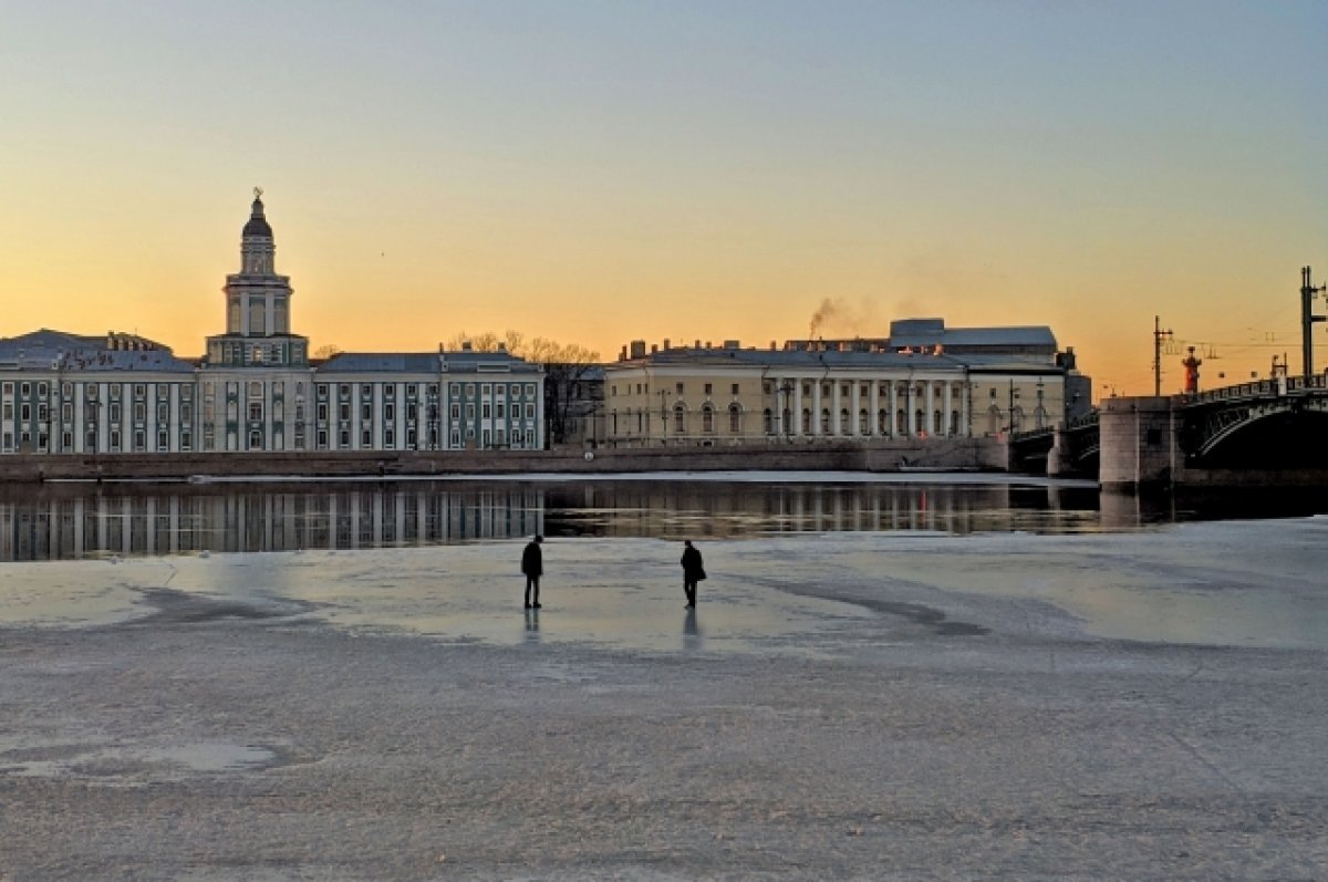    Зоологический музей и Кунсткамера привлекают юных натуралистов.