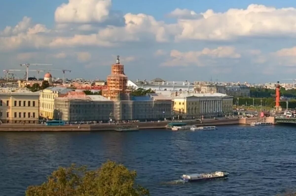    У Кунсткамеры стоит гигантская очередь из желающих попасть туда бесплатно