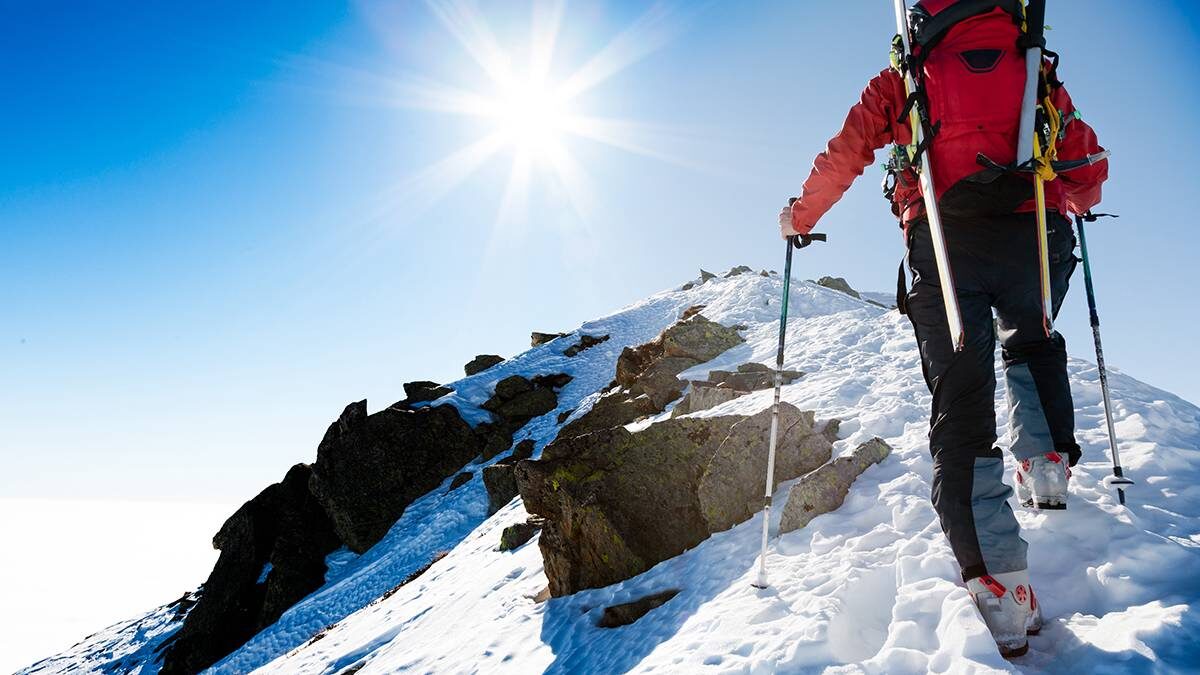    Фото: Shutterstock