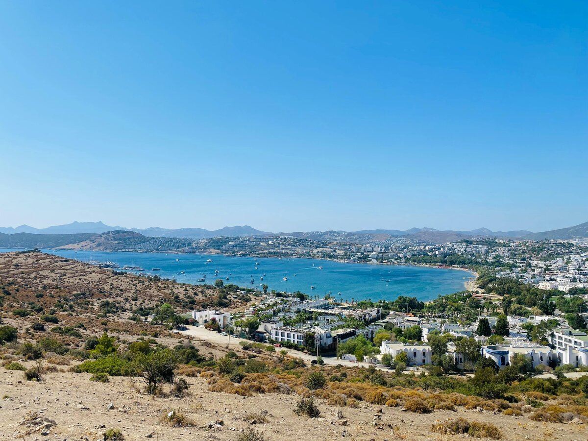 Фото: Arif Sezgin / Pexels