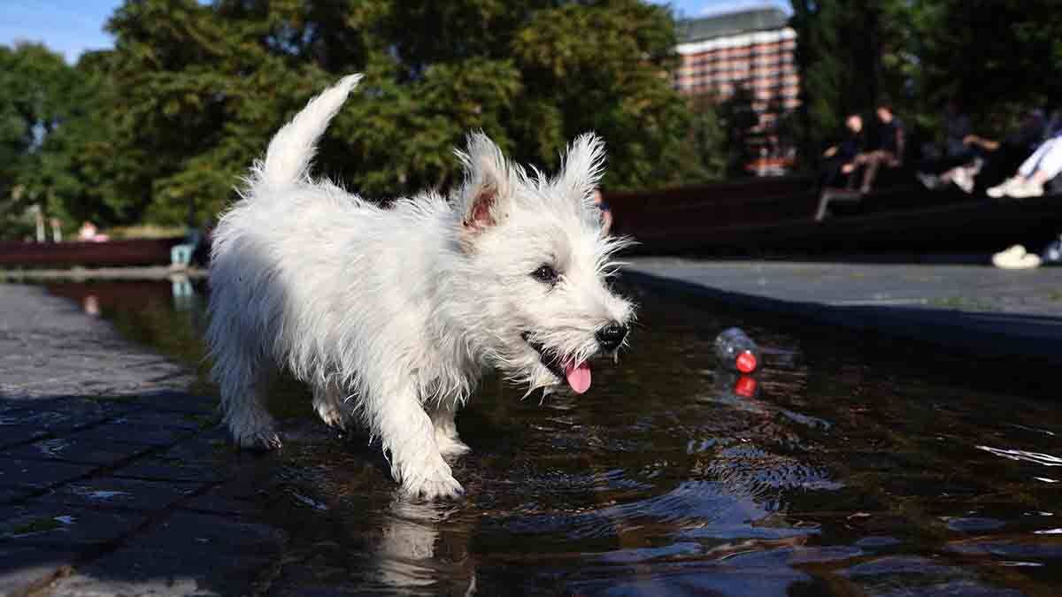    Фото: Ярослав Чингаев / АГН Москва