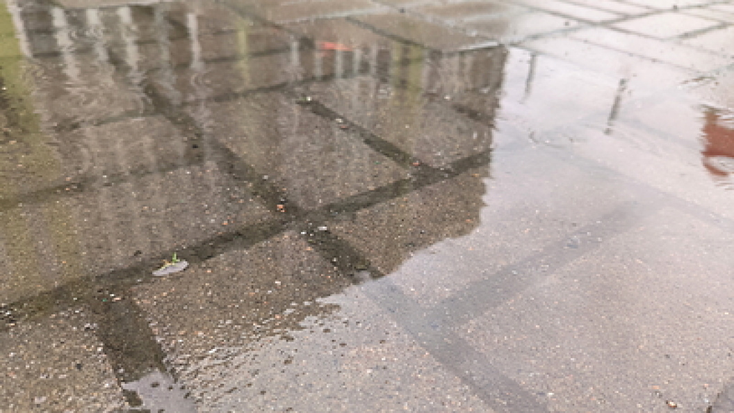    Фото: Maksim Konstantinov/Globallookpress.