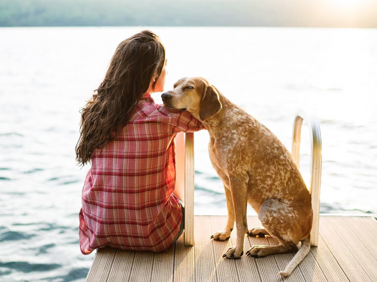 Собака прижимается к плечу хозяина