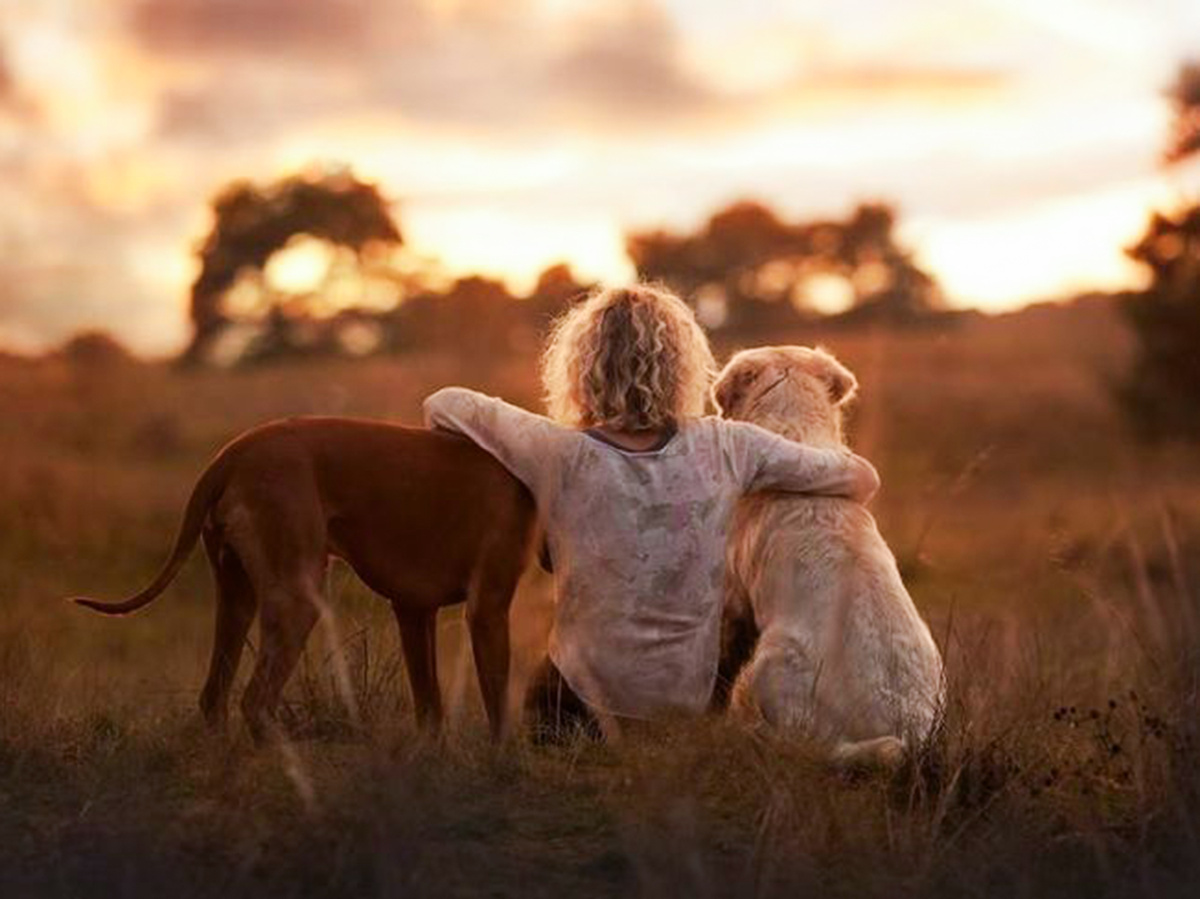 Ребёнок с собаками