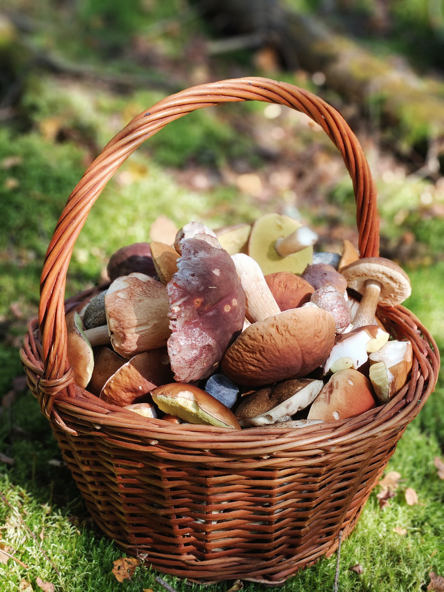 Из личного архива.