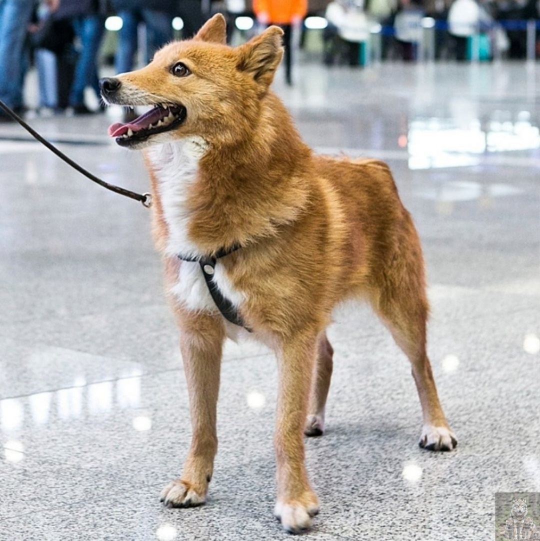 Ни один нарушитель сегодня от меня неспрячется 