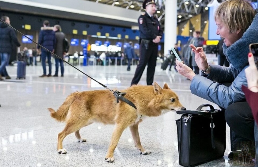 Опаньки! А ну-ка, руки вверх! Что тут у нас такое незаконное?