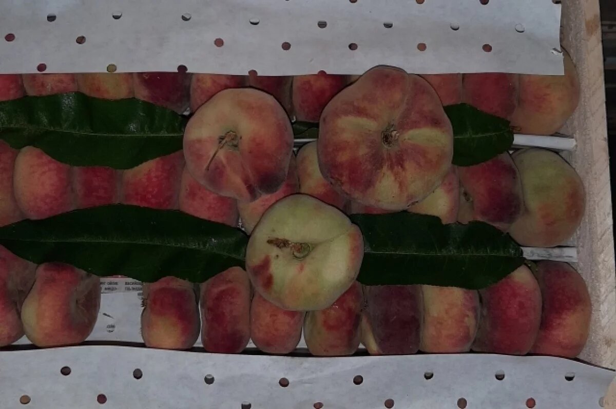    В Калининградскую область из Узбекистана ввезли 630 тонн овощей и фруктов