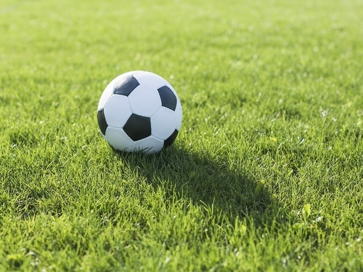     Фото: ru.freepik.com