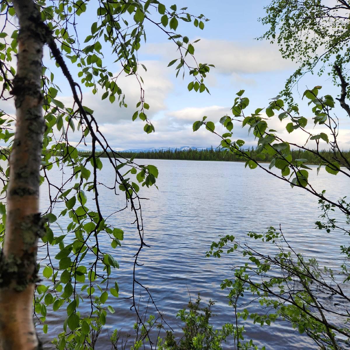 Автор фото: Николай Семенов