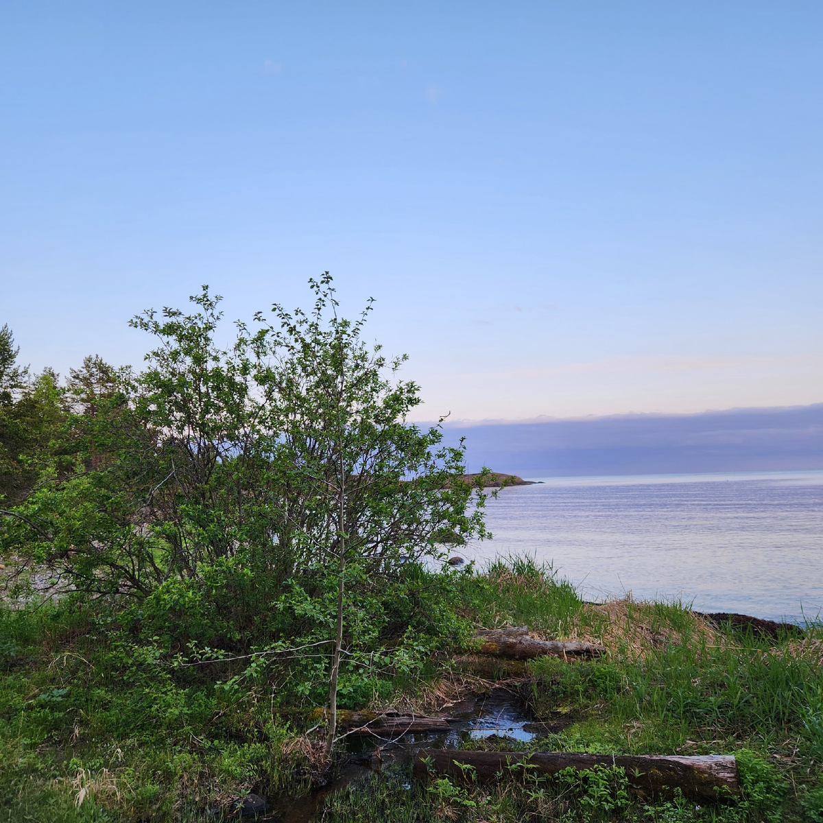 Автор фото: Николай Семенов