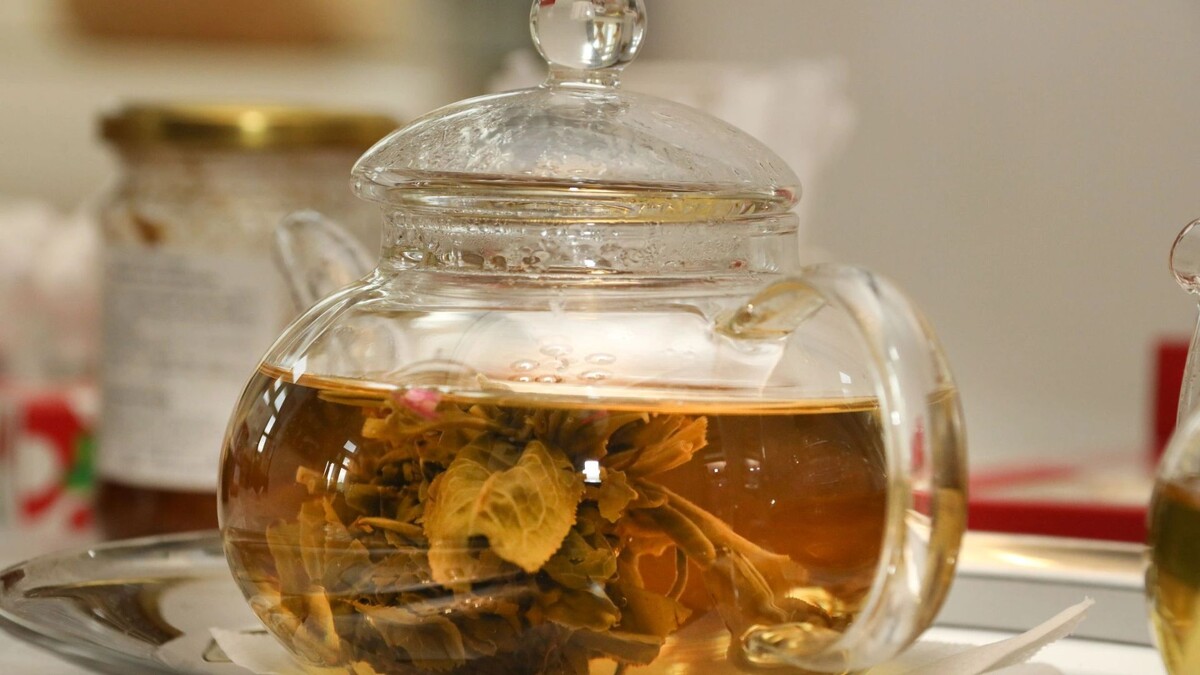    Фото: Василий Петров / «Ямал-Медиа»