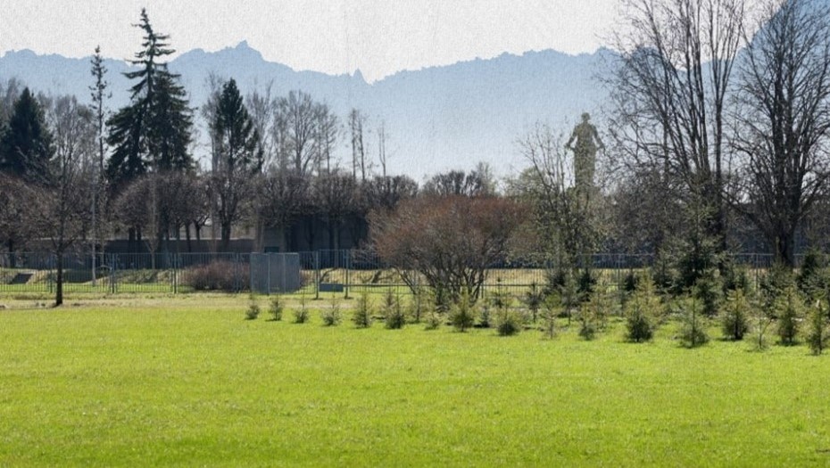    Зелёная территория за Пискарёвским мемориалом в Петербурге, которой присвоили наименование "Парк Героев специальной военной операции". Автор фото: vk.com/a_beglov