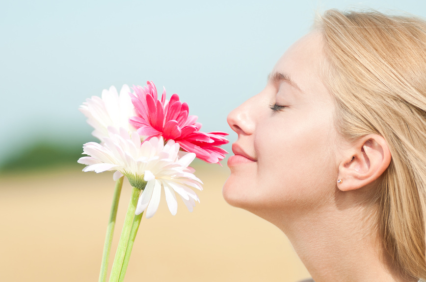 Фотобанк Лори