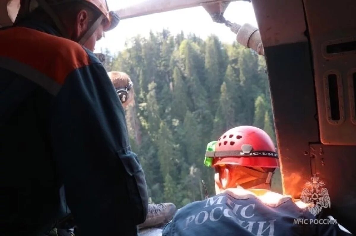    Выживал семь дней.