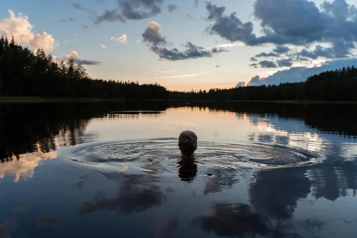 Обложка © Shutterstock / FOTODOM / Katja Lehtinen