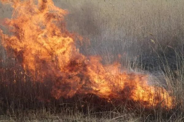    Фото: ГУ МЧС РО Веселовские вести