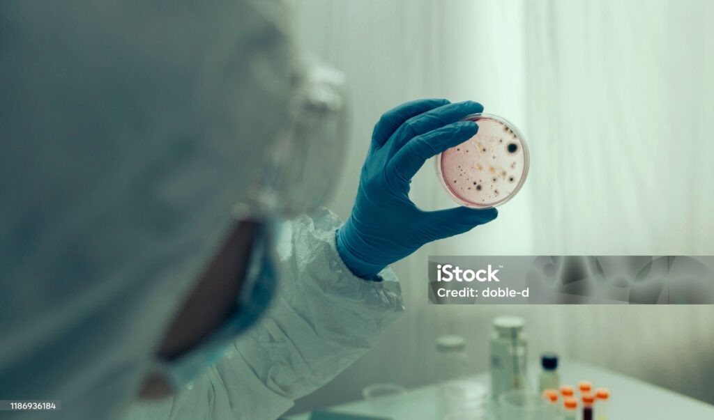    Unrecognizable scientist examining virus in petri dish in a laboratory Редакция газеты