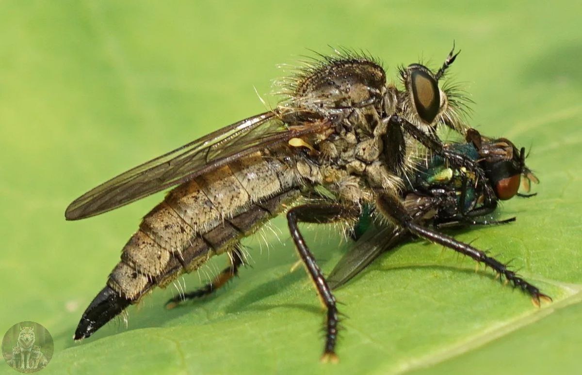Мужчина а вы точно только познакомиться хотите?