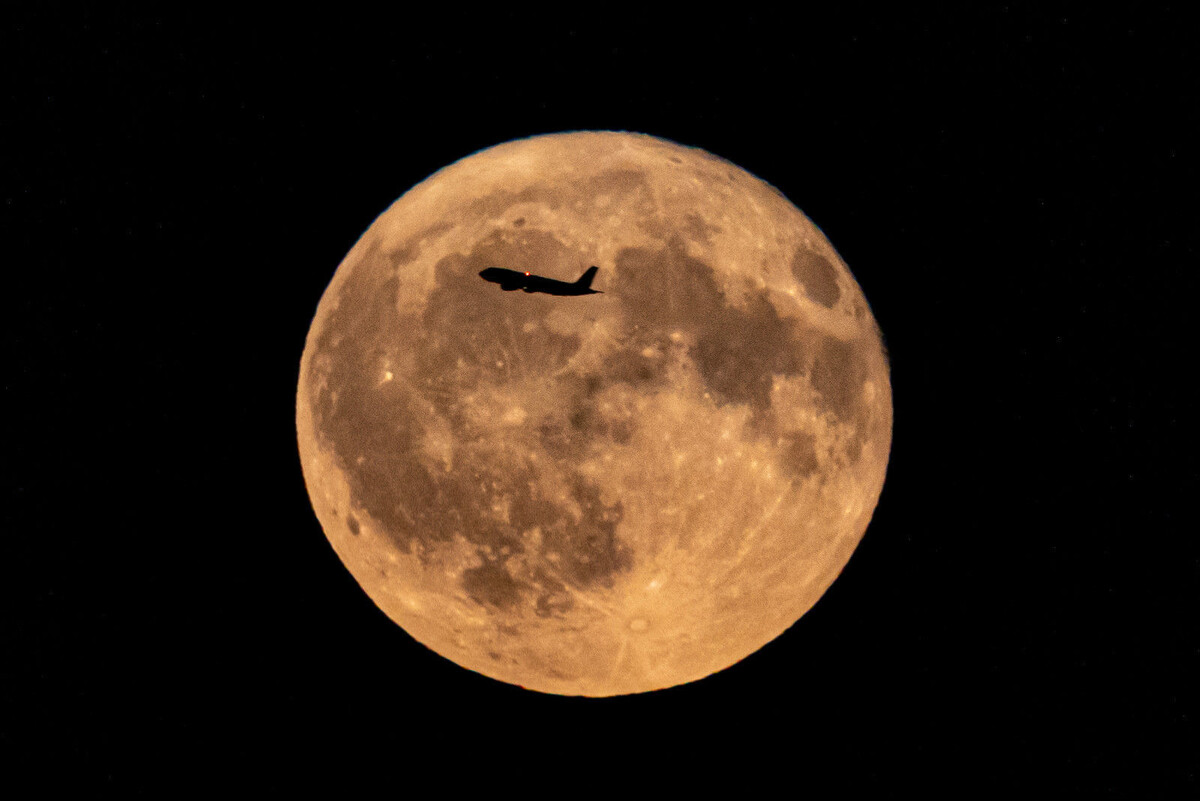 Фото: Дмитрий Фуфаев / «Петербургский дневник»