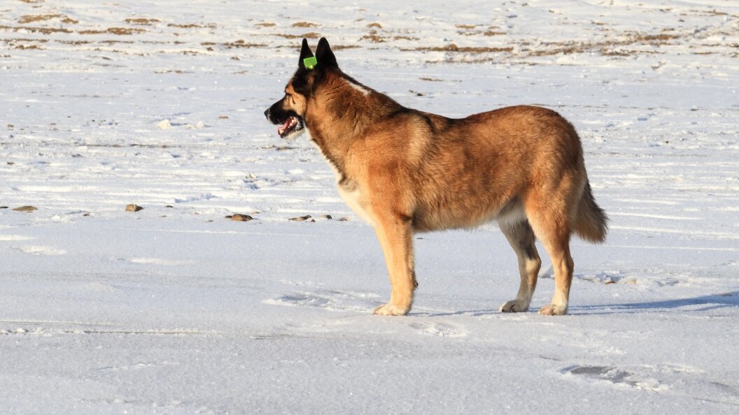    ФОТО: Elena Mayorova/Globallookpress