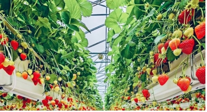 Фото из интернета