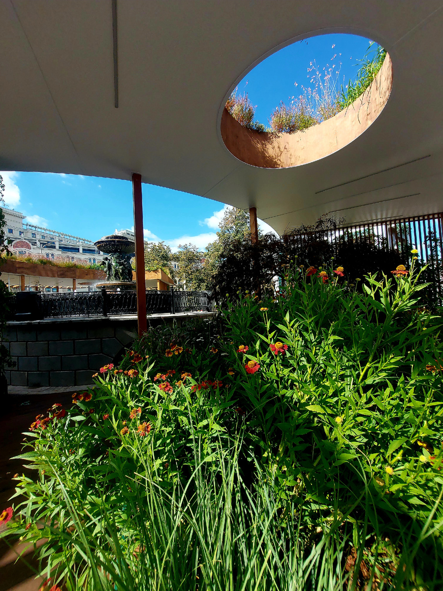 Красивый декор на площади Революции вокруг фонтана "Витали".