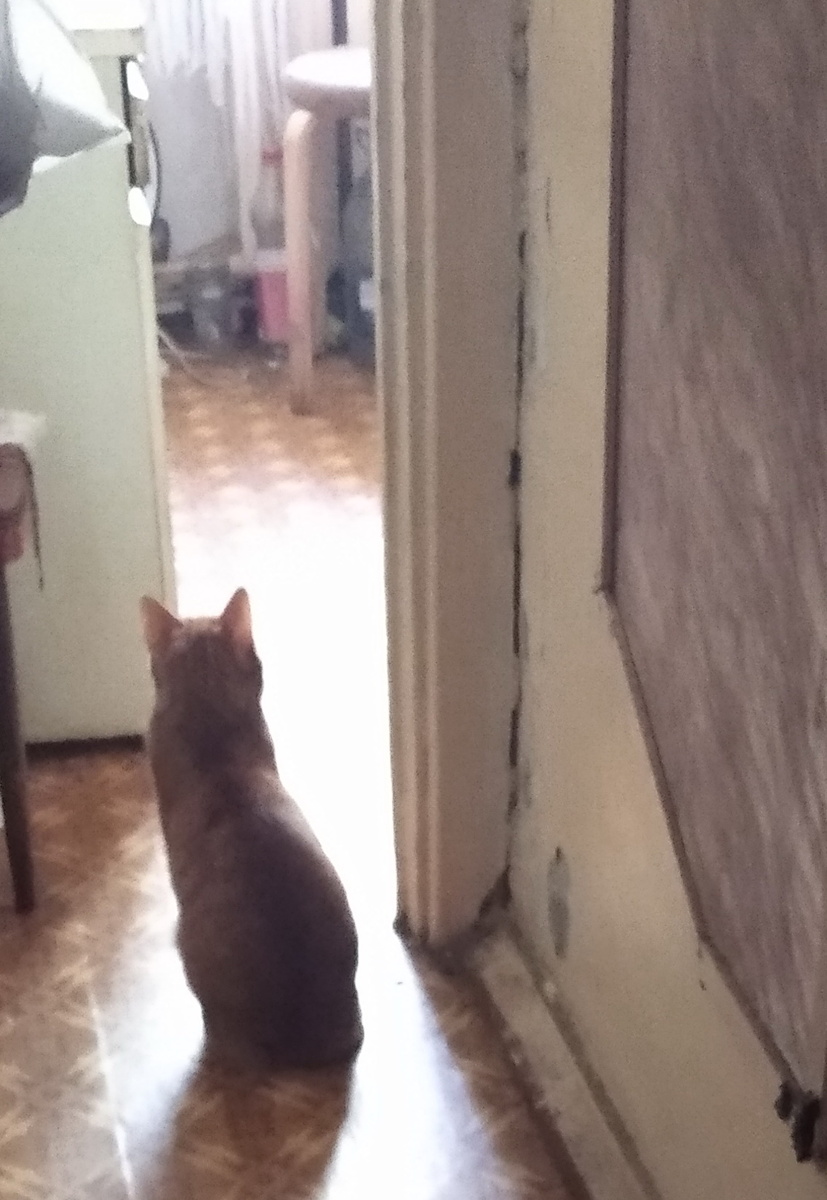 личное фото